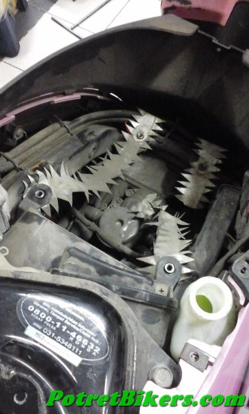 Jok Motor unik