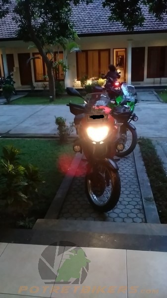 Kawasaki Versys X 250 (57)