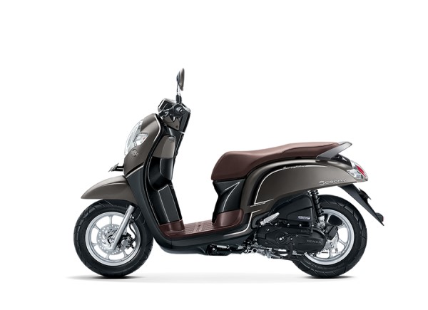Stylish Matte Brown