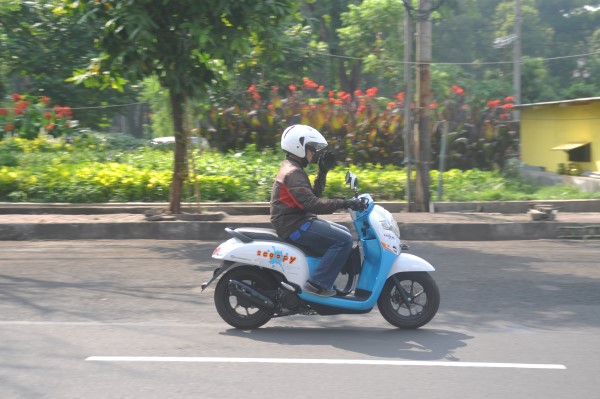 DSC_0009 (600 x 399)