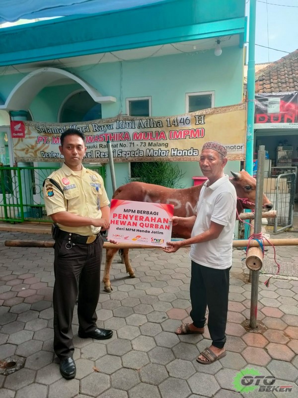 MPM Honda Jatim Konsisten Berbagi Hewan Kurban, Pererat Kebersamaan dengan Masyarakat 2025 terkini idhul adha (2)