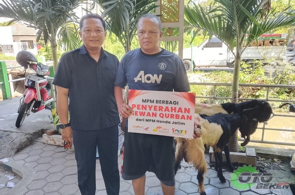 MPM Honda Jatim Konsisten Berbagi Hewan Kurban, Pererat Kebersamaan dengan Masyarakat 2025 terkini idhul adha (5)